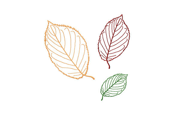 Beech Tree Leaves Embroidery Design